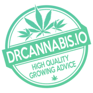 drcannabis.io