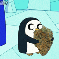 cannagrower9999