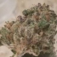 Hairybudz30