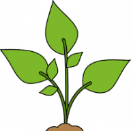 ShowNGro