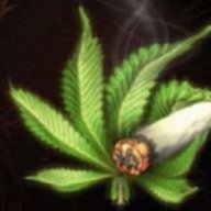 NYBeginerGrower