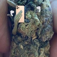Grow.n