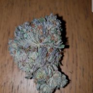 Farmerman420