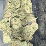 Potfarmer1