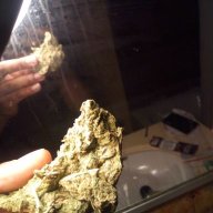 Tonymontana225