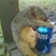 Apachee420