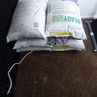 Firstgrow6
