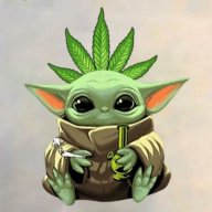 lenk420