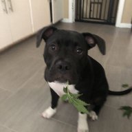 Jmills420