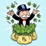 medhatgrower