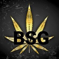 B.S.G