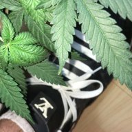 Urbanfarmer.705