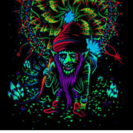 Trippyhippette
