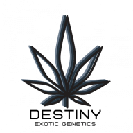 destiny_exotic_genetics