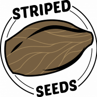 stripedseeds