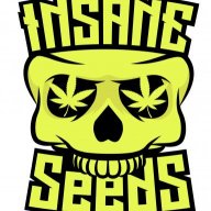 Insane