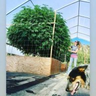 Oregonfarmgirl