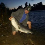FishGuru