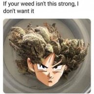 THC_DALLAS