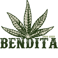 Bendita