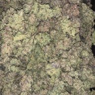 Grow4Gold