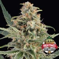 gardener60