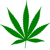 MidwestCannaman