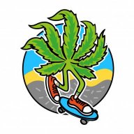Saskbud306