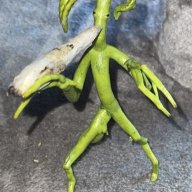 SmokeRings900