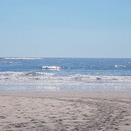 ruisilva