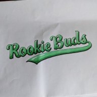 RookieBuds