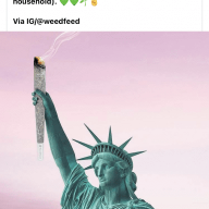 Jogotti315