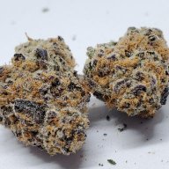 bigbux82
