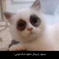 Mozn