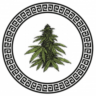 Capital_Florica