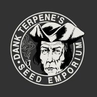 dankterpene
