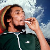 bobstarmarley