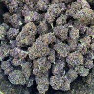 PurpleD