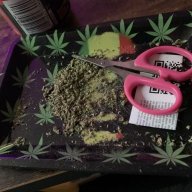 GrimmReefer89