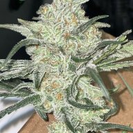 Huntfiregenetics