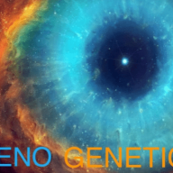Reno