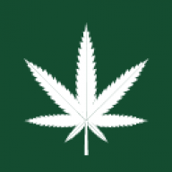 OnlineWeedNews
