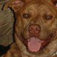 Green_acres_816