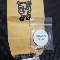 crowseedstash