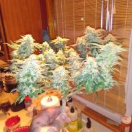 Squishypop420