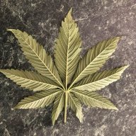 VAHydro