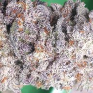 cannafarmer420