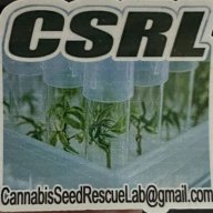 CannabisSeedRescueLab