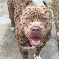 Delvo420