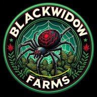 Bwidow